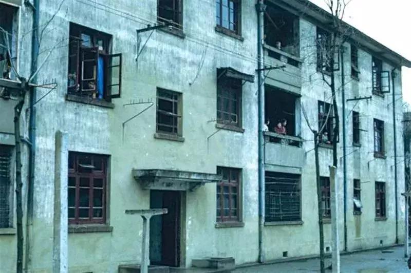 杨树浦、五角场、工人新村……“大杨浦”为什么这么大？