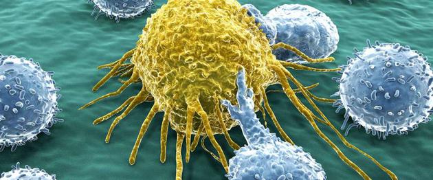 能抗衰的干细胞,干细胞抗衰的潜力