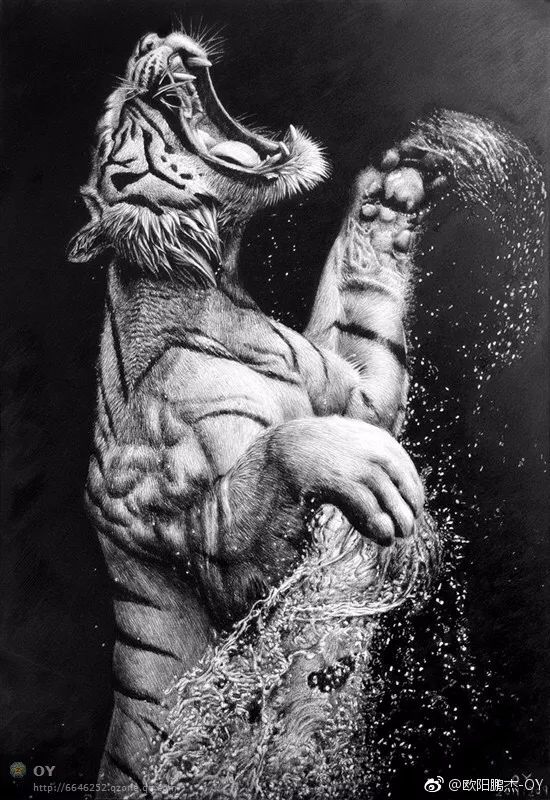 简单针管笔手绘花,简单易学针管笔手绘