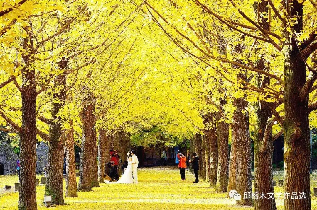 韩国游记完整版视频,韩国游记小说