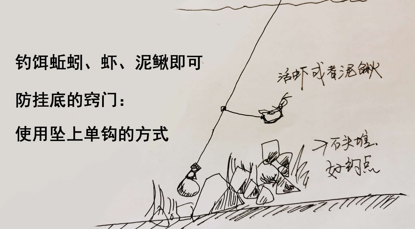 江团适合在什么水面上钓,江团钓技