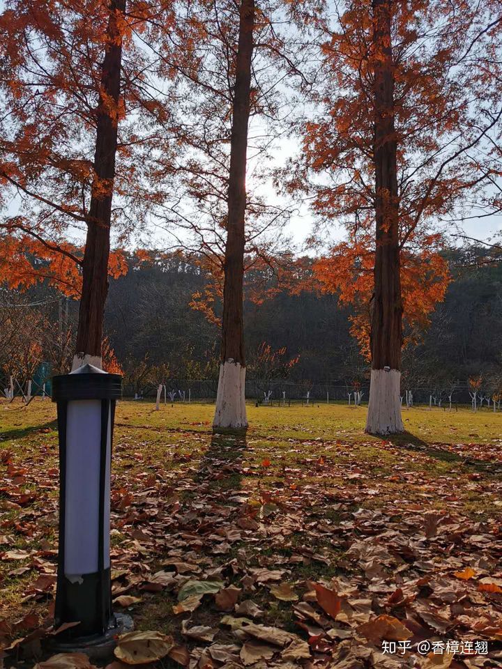 在大连生活怎么样,在大连生活十年是什么体验