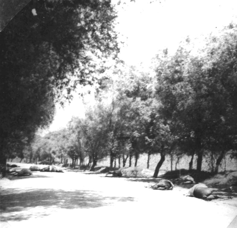 七七事变难得一见的历史老照片,七七事变中国将士的图片