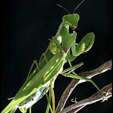 莫笑狂夫小说,莫笑狂夫完整版