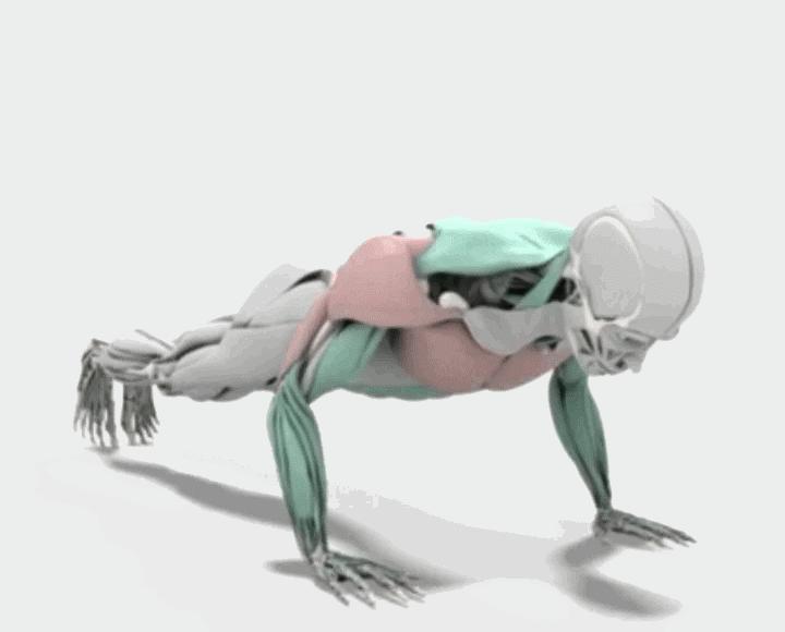 身材塑形的简单动作,练什么动作可以塑形身材