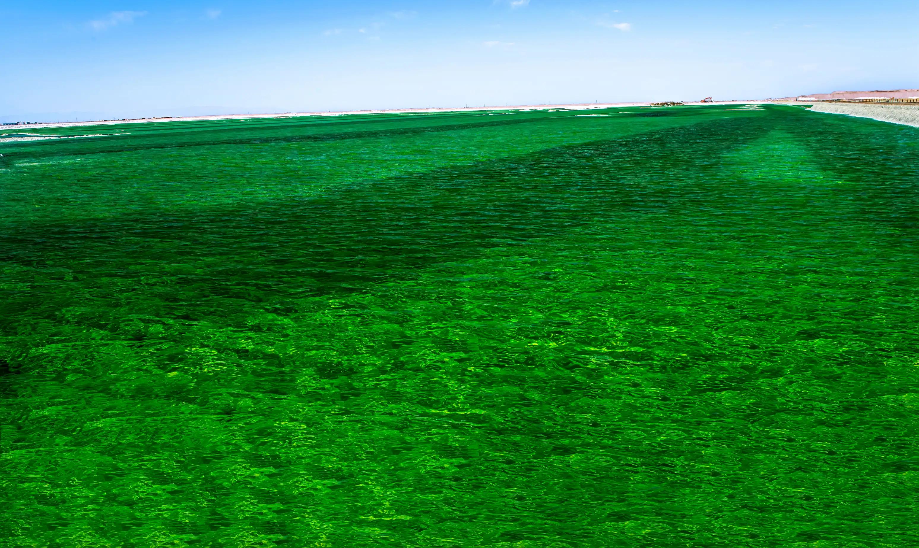 川西甘南十五日环线自驾游,甘南川西环游系列之四