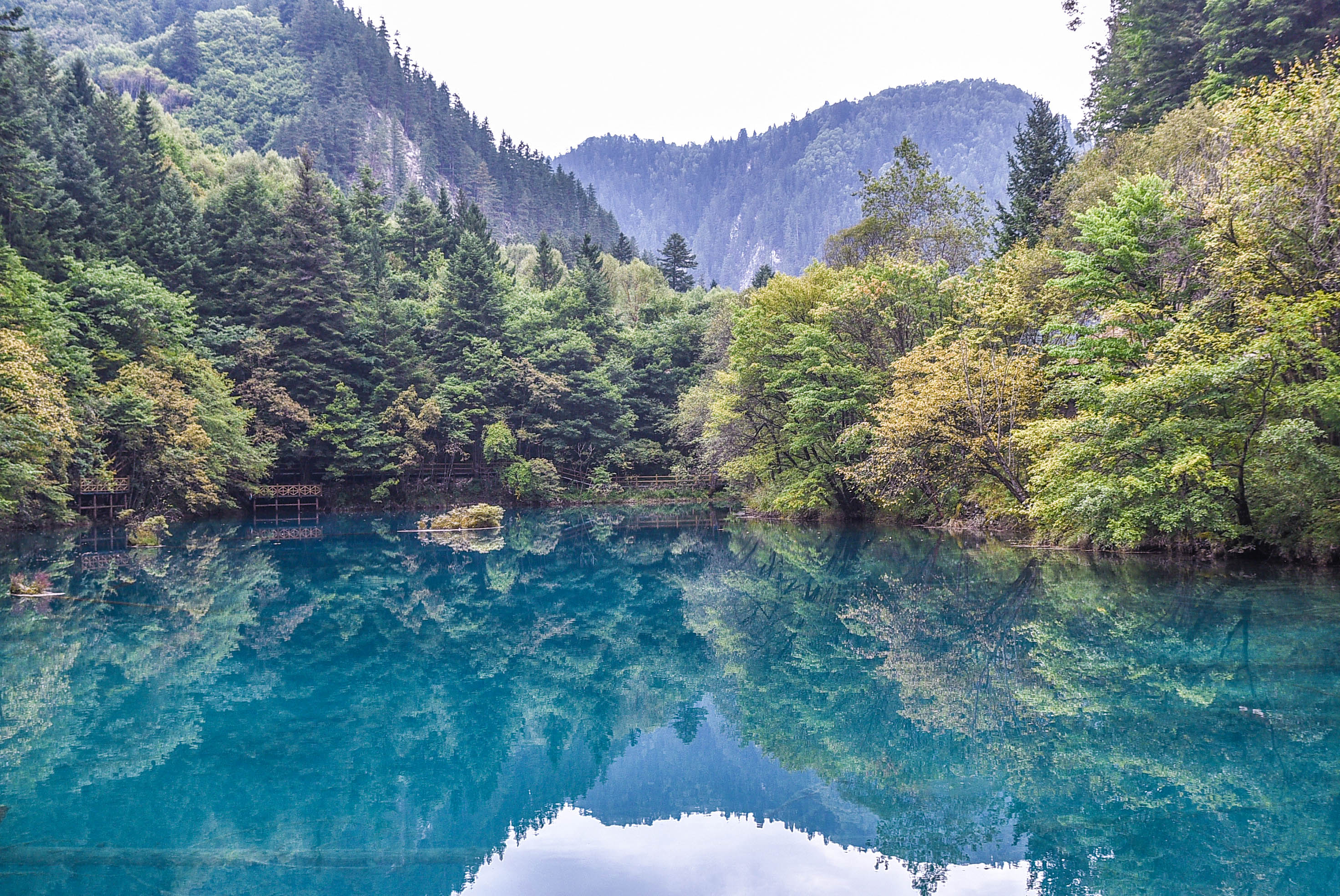 秋天九寨沟最美的季节,秋天九寨沟美景图片