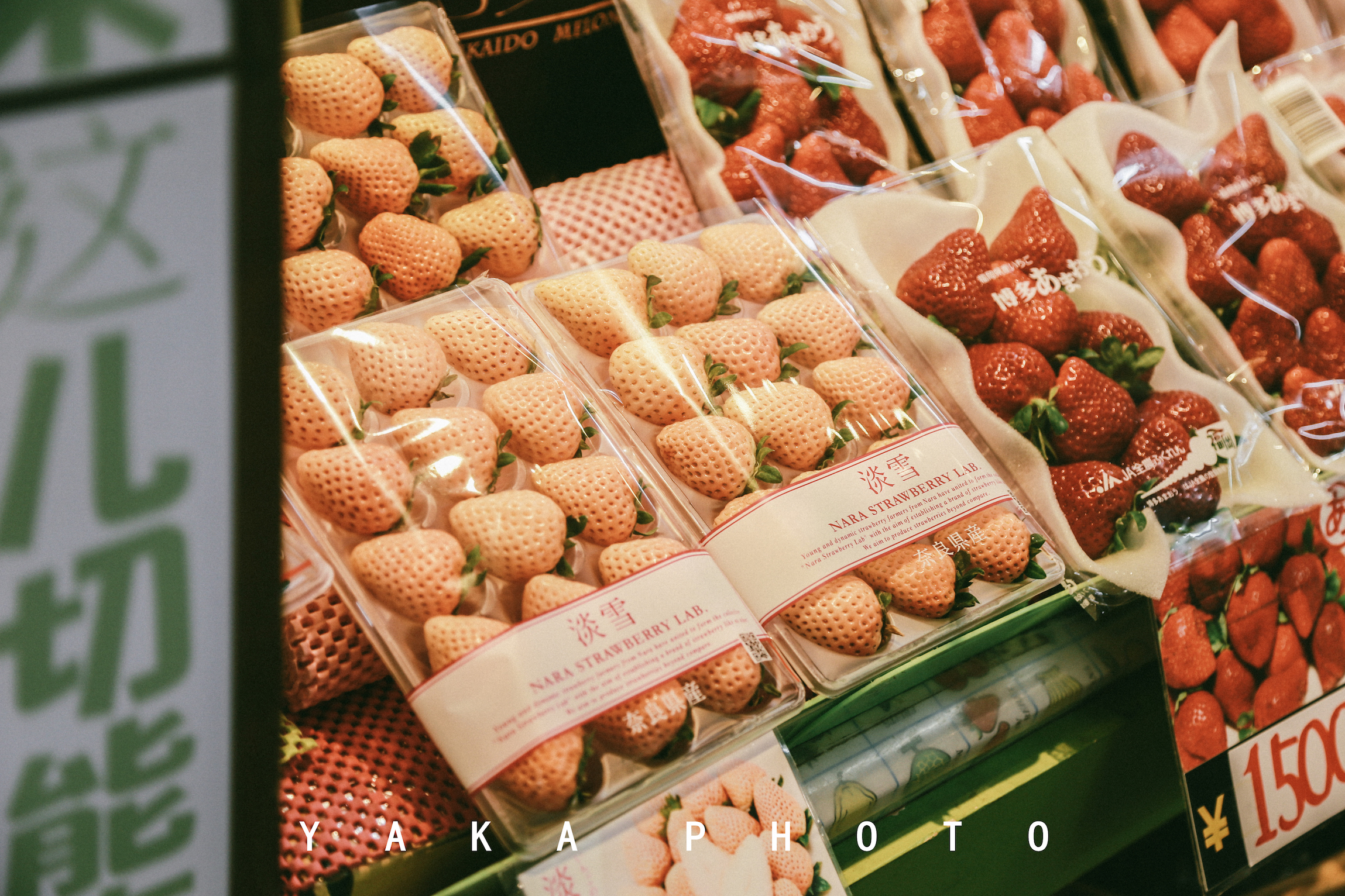 日本北海道函馆二日游自由行攻略,日本人最爱去哪里旅游