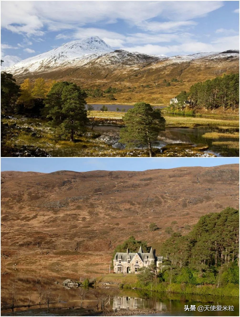 从平民家庭嫁入王室的凯特王妃,英国凯特王妃的逆袭