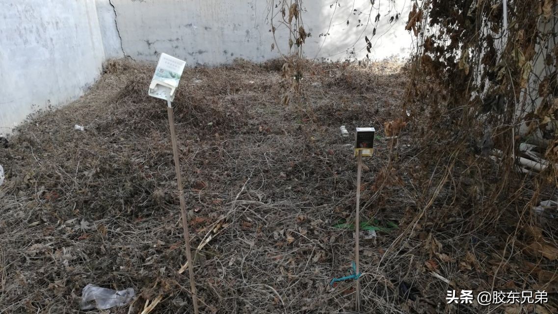 初学弹弓配置,弹弓标靶正确练习方法