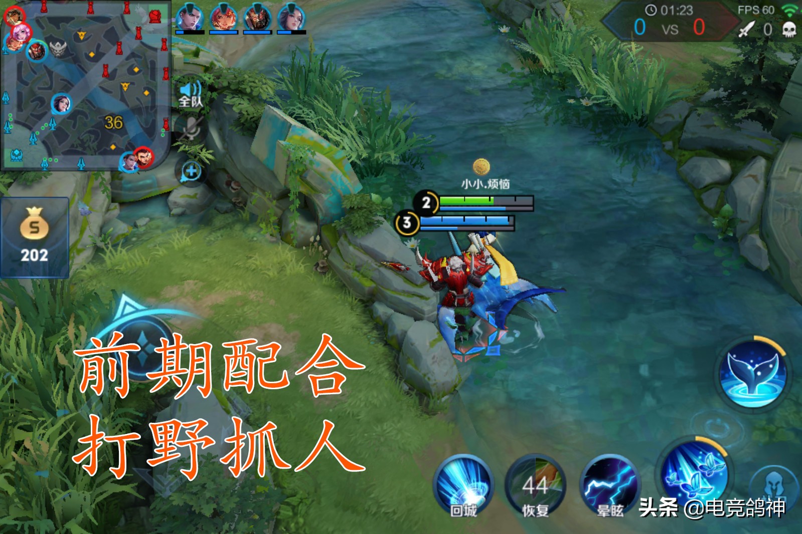 王者荣耀排位英雄克制提示,王者荣耀上分技巧s19钻石庄周