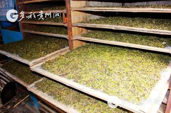 黔东南春节游玩推荐,隐藏在黔东南的世外桃源