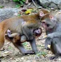 鼓浪屿现世外桃源美景,广东鼓浪屿