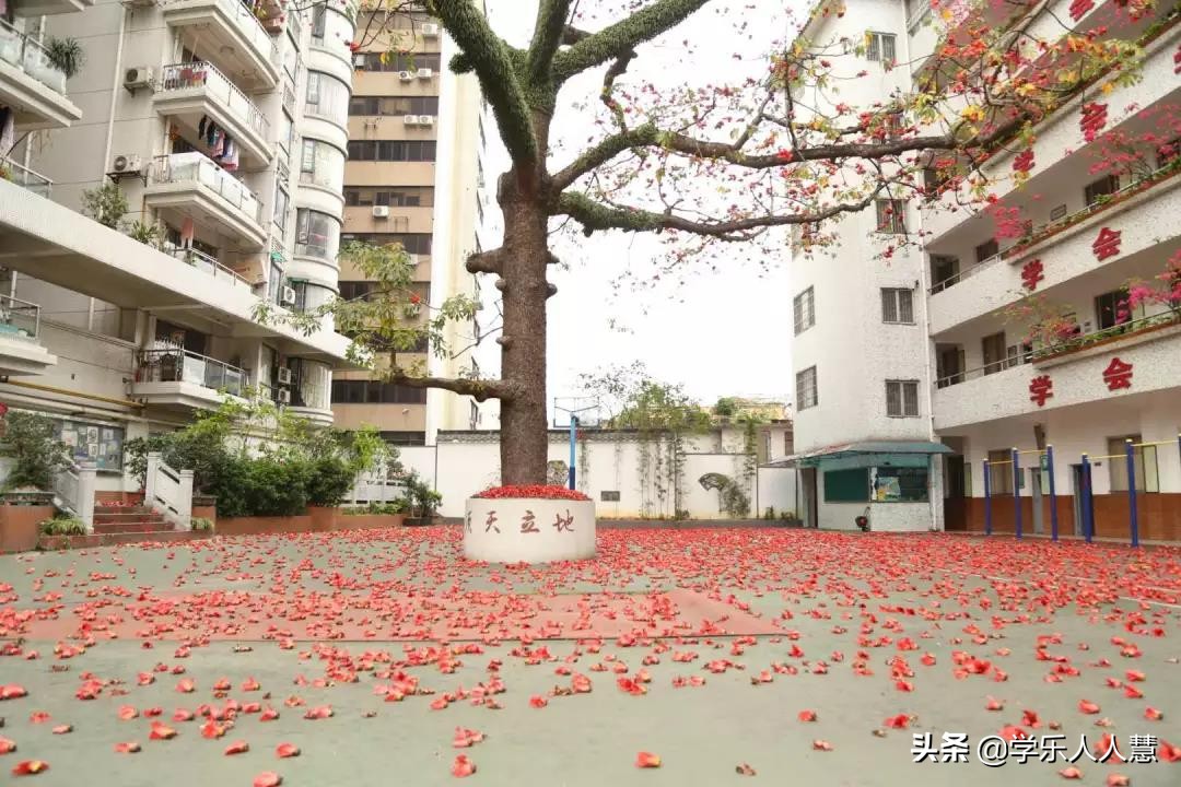 华师附中2024招生简章,二中应元增城