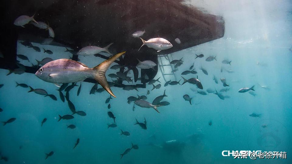 潜行多睿深度评测,老徐开箱读心术