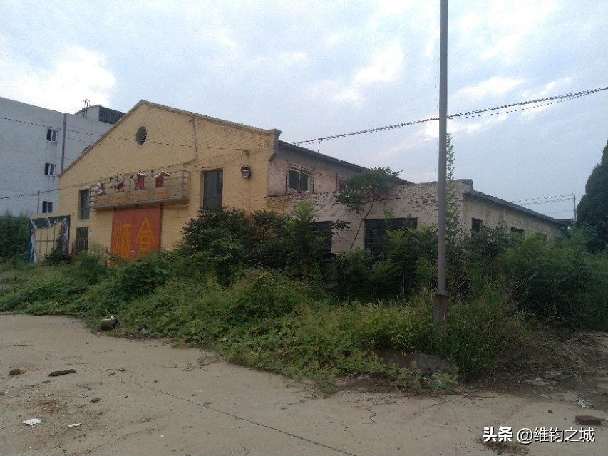 聊城人啊，请再看她一眼！