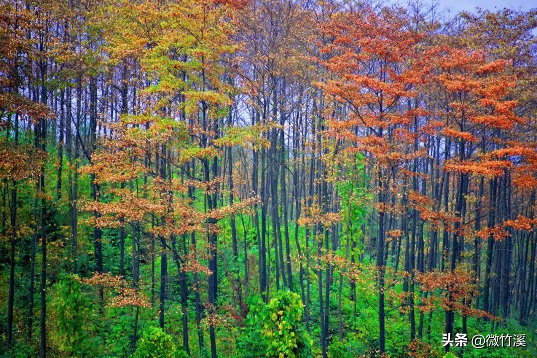 竹溪县：“五一”出游，来竹溪就对了！