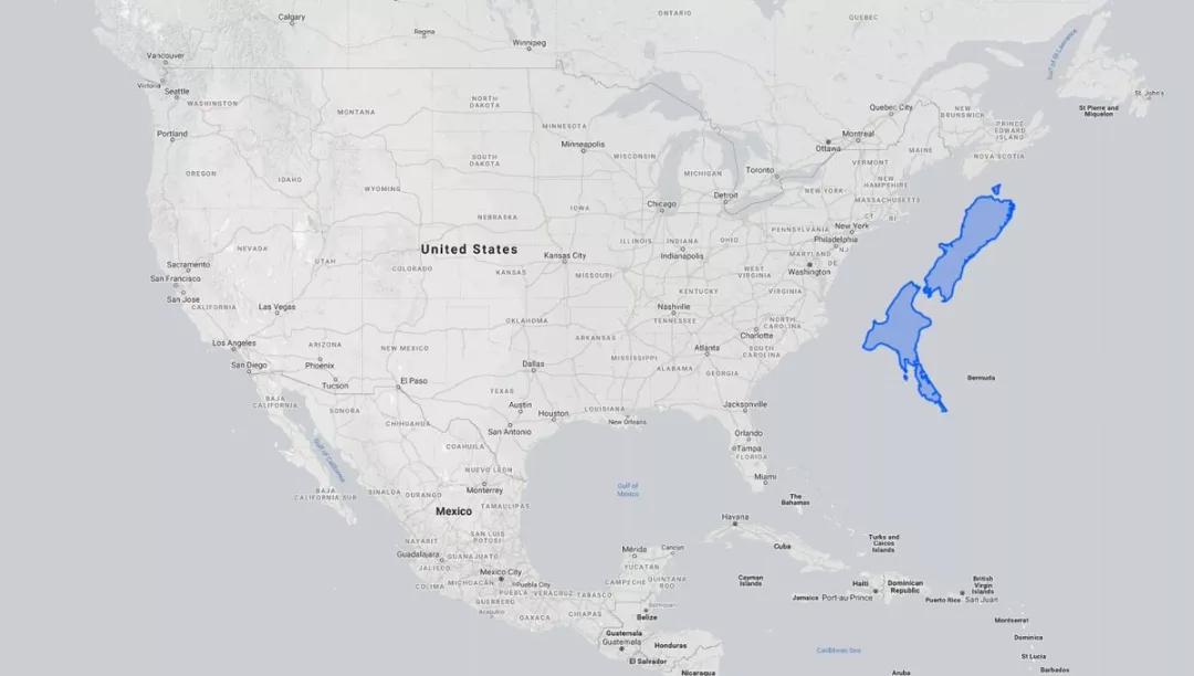 新西兰抗疫,新西兰抗疫成绩