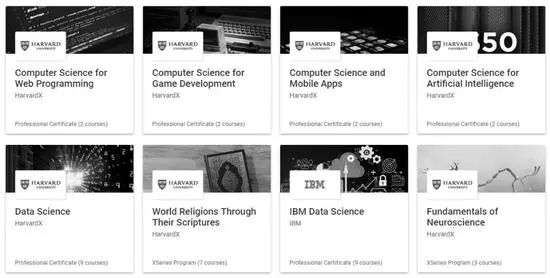 疫情中的后浪们：留学生们的暑假日常仍然丰富