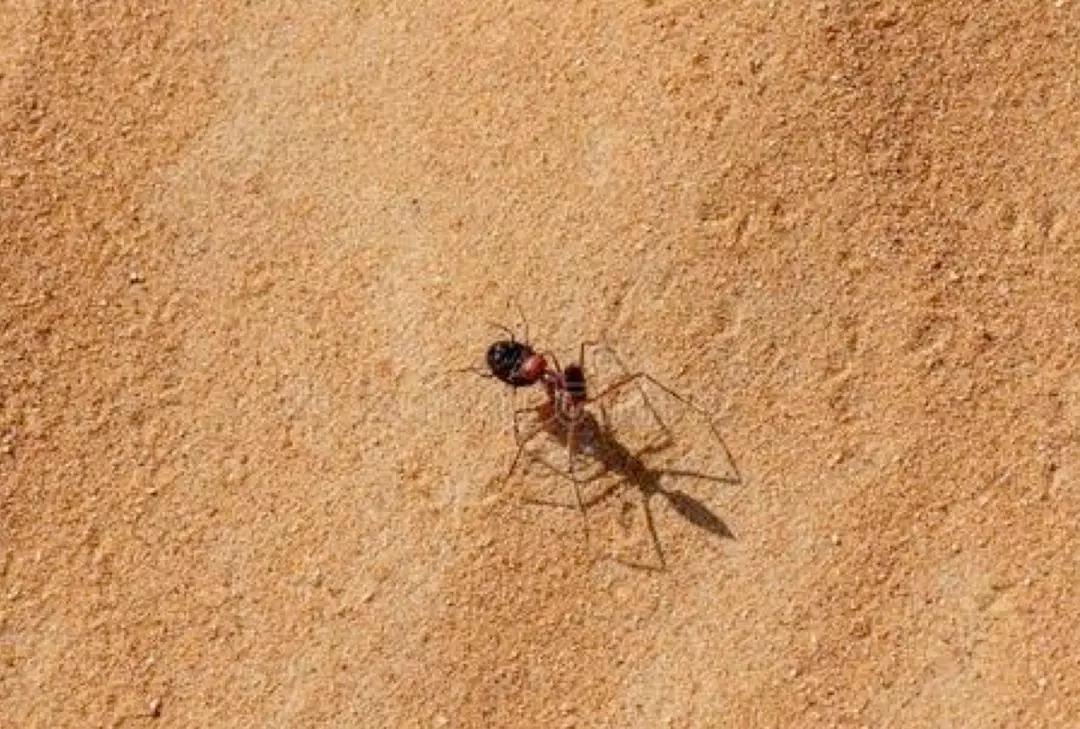 路痴是什么心理疾病,路痴是认知障碍吗