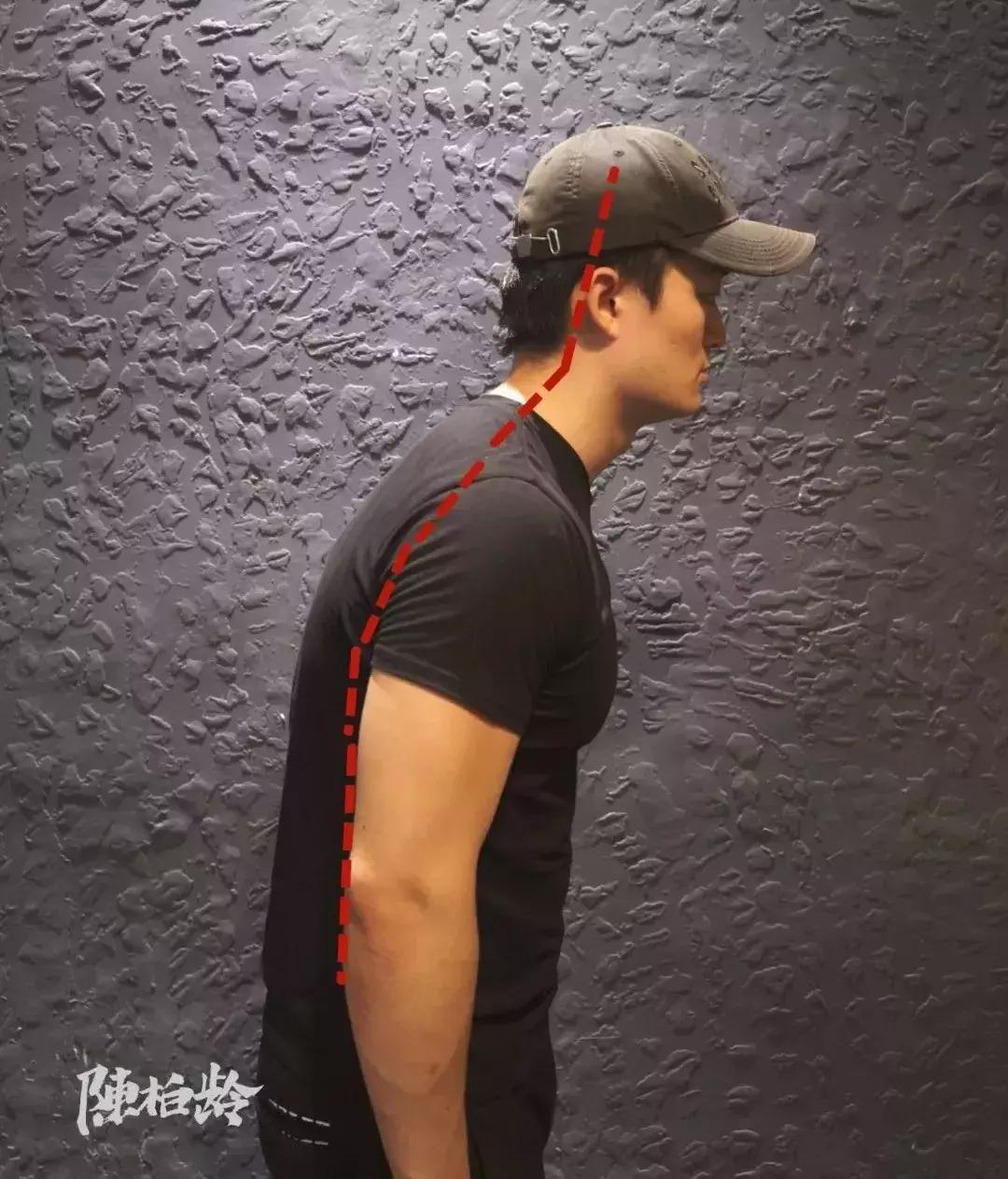 圆肩矫正动画,圆肩体态矫正训练