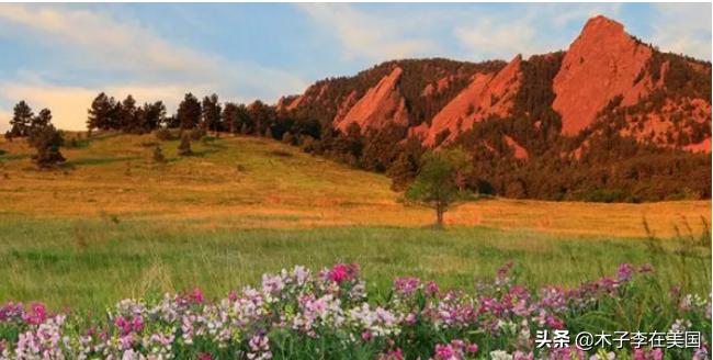 美国加州的留学生活,加州属于美国哪个州