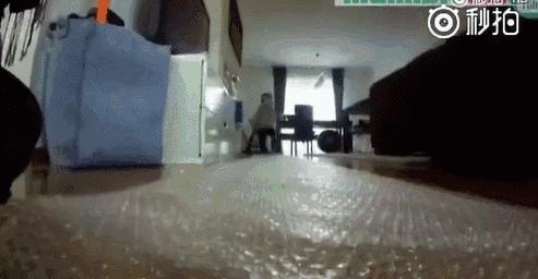 50个在家超好玩的亲子运动小游戏,亲子运动小游戏3到6岁