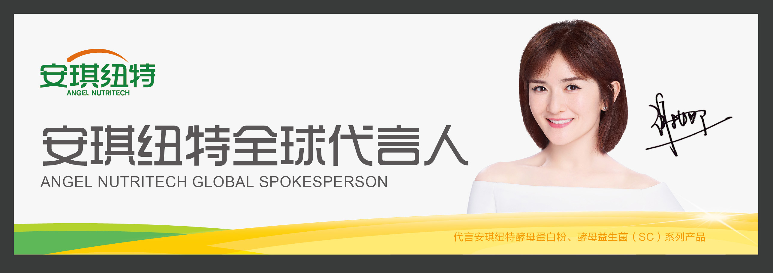 谢娜代言奶粉的牌子,谢娜代言的奶粉中国专利配方