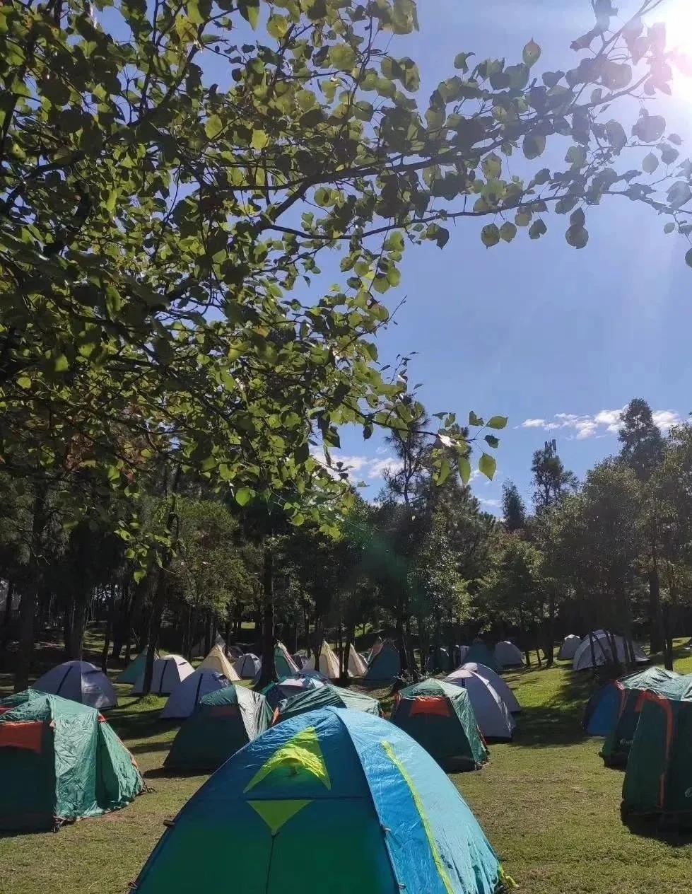 野奢露营场景备受认可,福州最值得去的露营