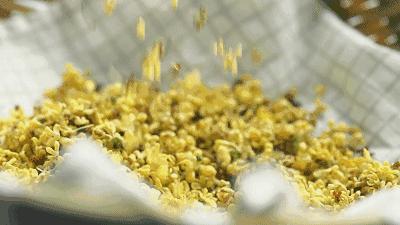 一入秋苏州怎就美成了姑苏,一入秋南京就成了金陵