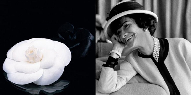 香奈儿coco小黑裙,香奈儿经典小黑裙你真的懂它吗