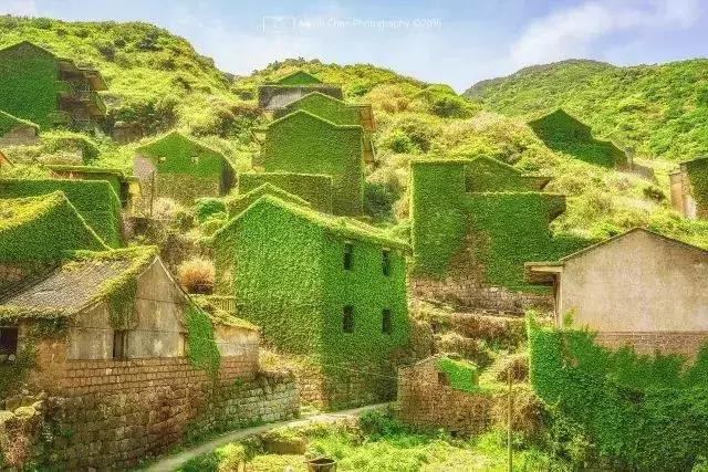 浙江舟山嵊泗岛可以做饭的民宿 (嵊泗花鸟岛夕岛1026民宿)