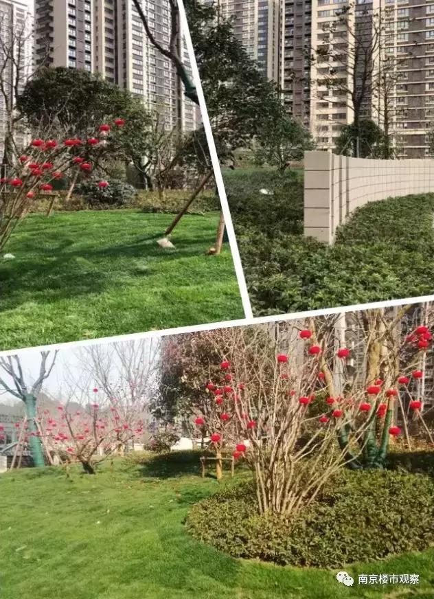 10盘迎来交付大考，实景谍照流出！这品质…