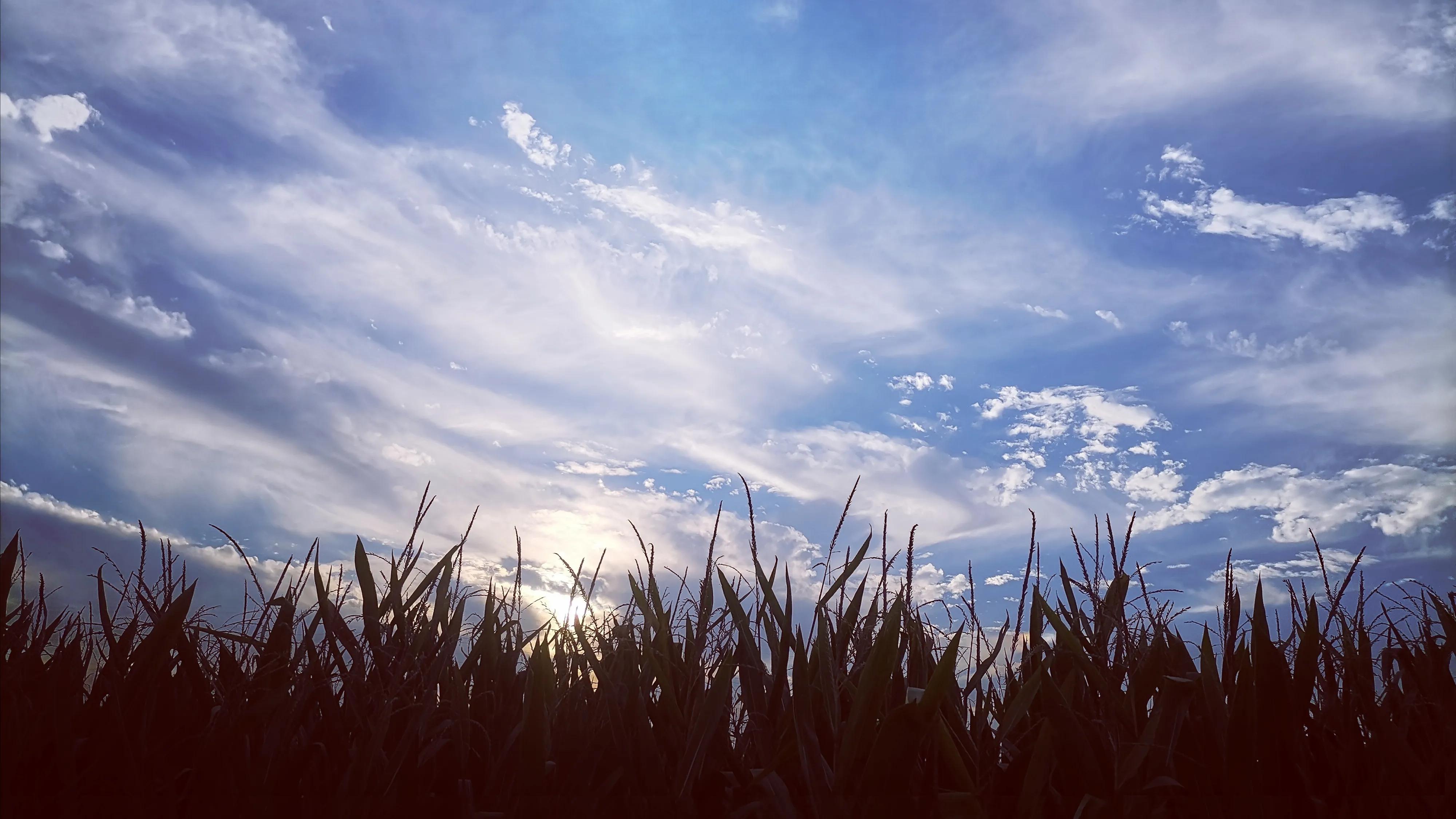 普通人的一生应该是怎样的知乎,人的一生应该怎样度过原文