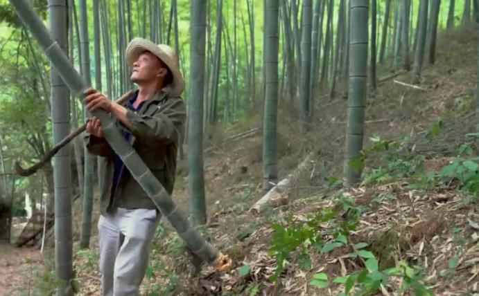 中国什么时候开始碳交易的,老百姓利好政策最新消息