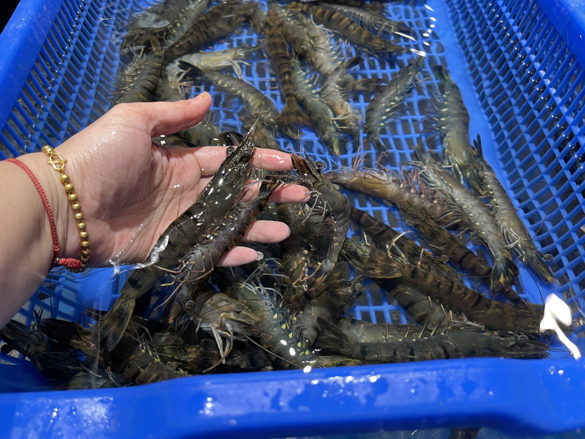 盒马鲜生必买的东西,盒马鲜生零食