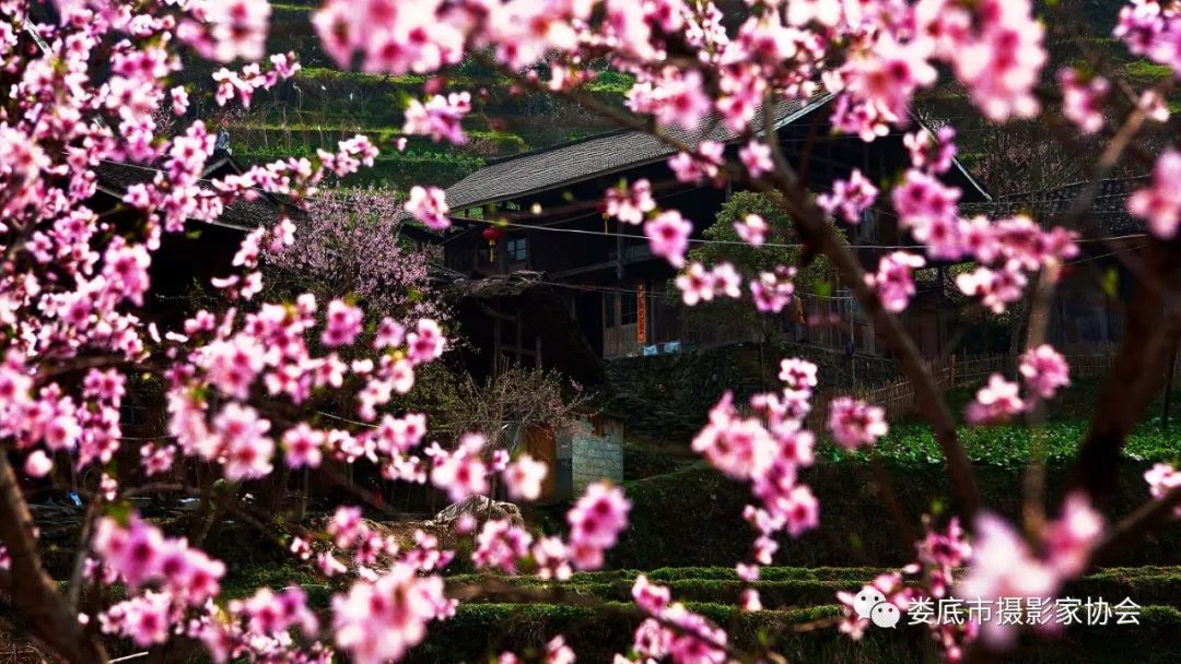 最新风景摄影小品欣赏,娄底景观小品