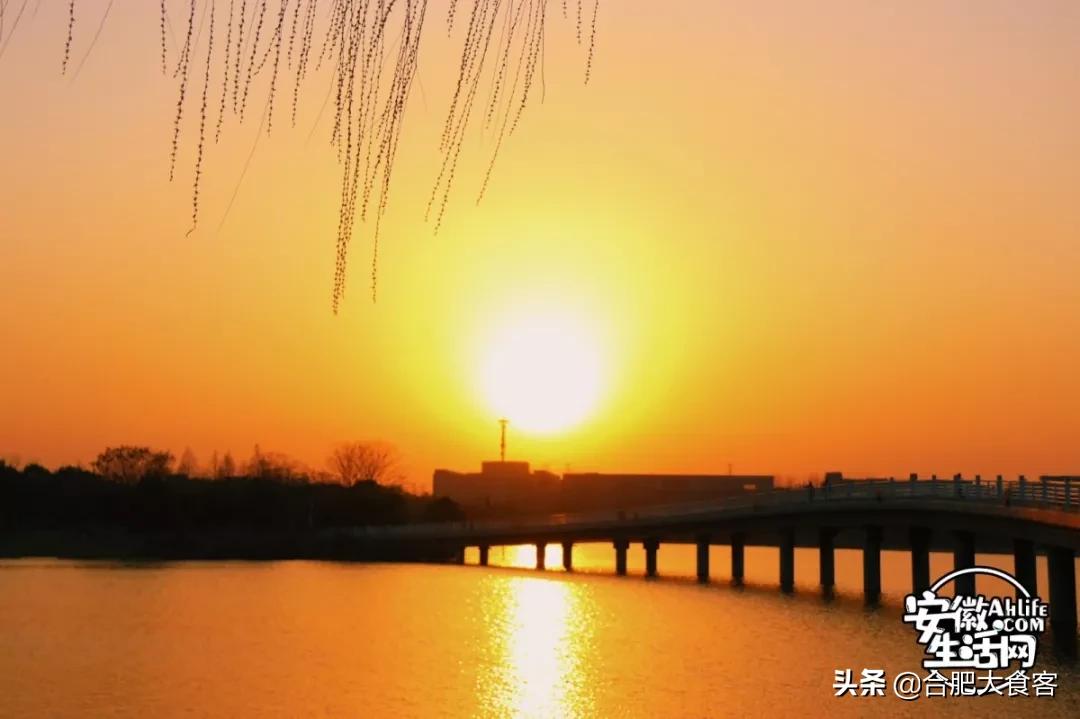 2020年,在这50个地方遇见不一样的合肥