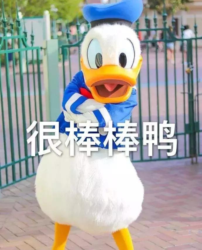 海淀区的新希望小学入学条件,海淀2024年小学入学政策