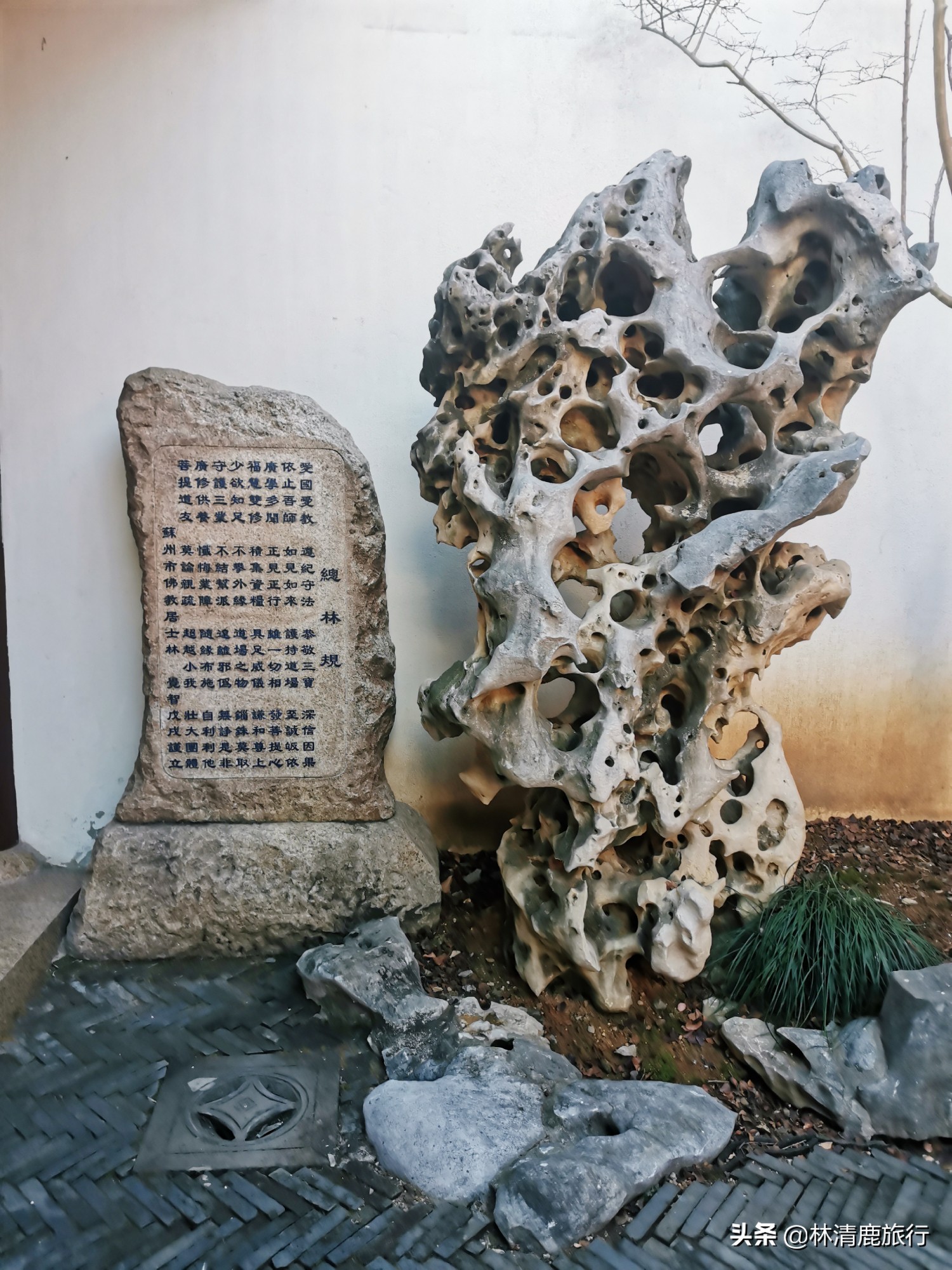 苏州可以喝茶的楼阁亭台,苏州园林喝茶最好的地方