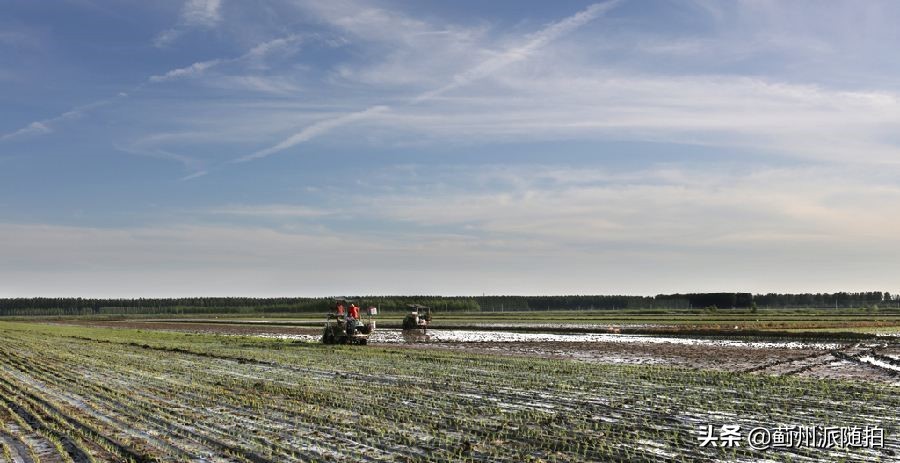 蓟县满族人,蓟县满族人的来历