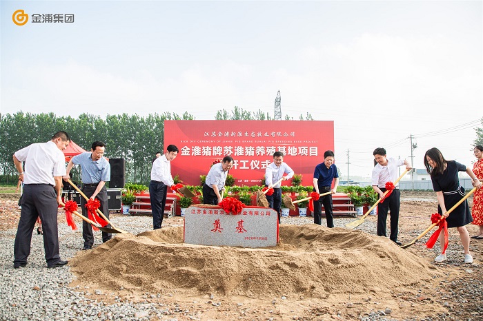 金浦苏淮猪养殖,苏淮猪养殖基地