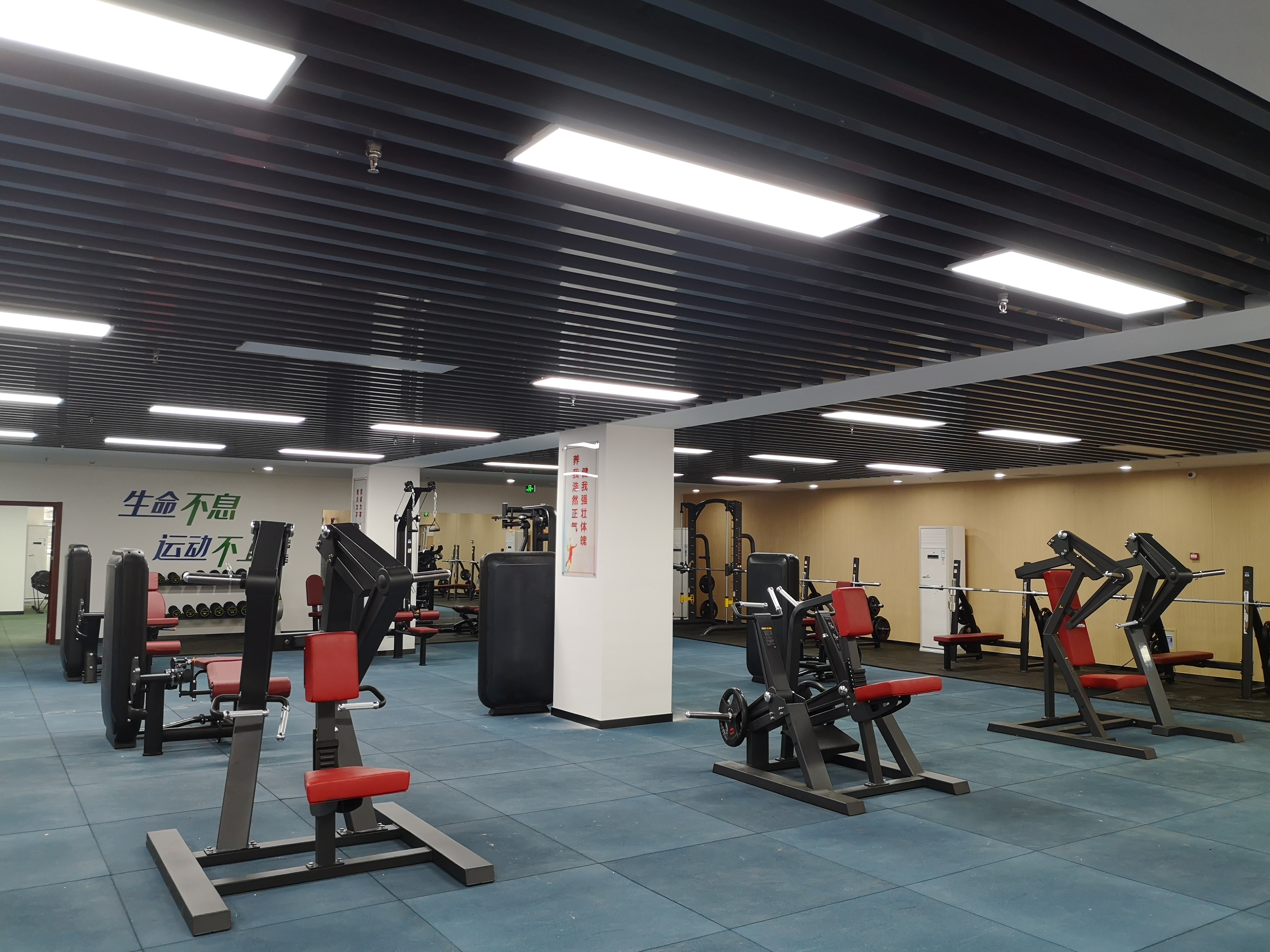 德州十大健身器材厂家电话,室外健身器材厂家联系方式