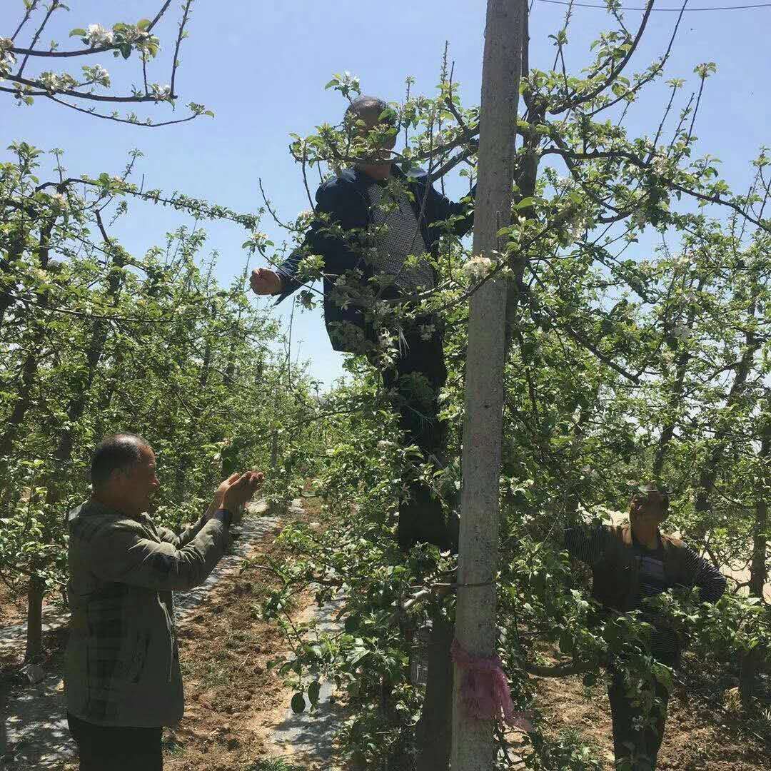 涔惧幙鍐滄妧绔欑珯闀垮惔鏅撴斂,鏋滃啘鐨勮创蹇冧汉
