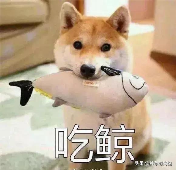 港货屈臣氏最值得买的护肤品,屈臣氏里面有什么值得买的