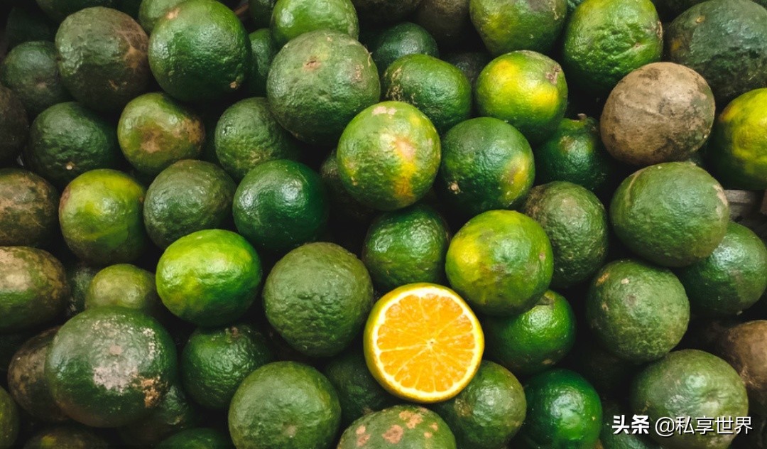 中国哪的橙子最出名,中国哪的橙子好吃产地排名