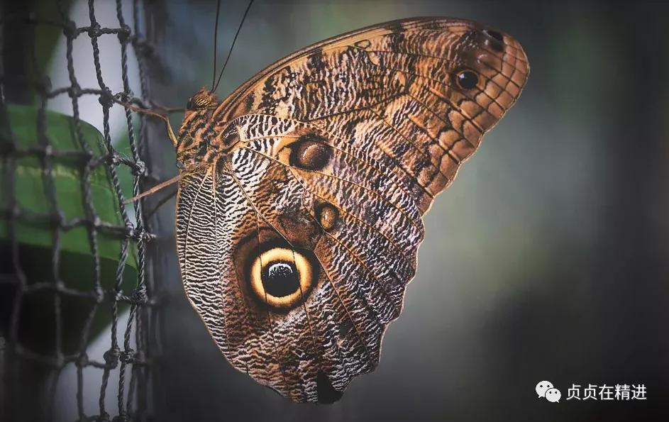 自学西班牙语歌词教学,自学西班牙语口语900句