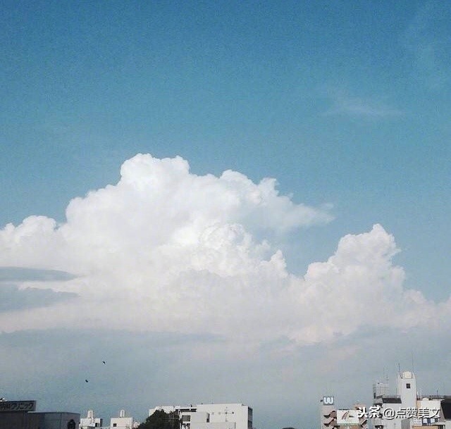 发朋友圈的十句情感语录说说短句,适合发朋友圈的感情句子句句戳心