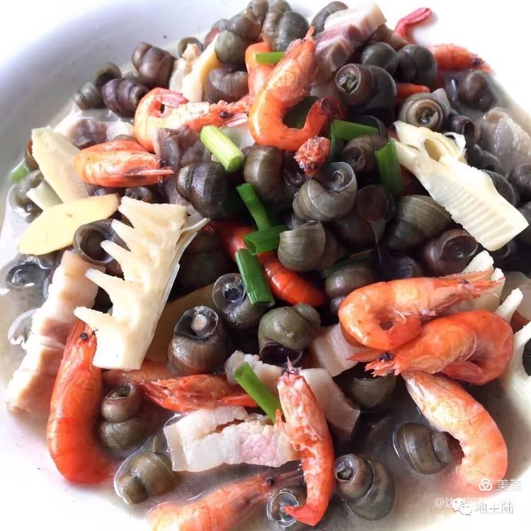 神奇小小螺粒粒赛肥鹅(散文)