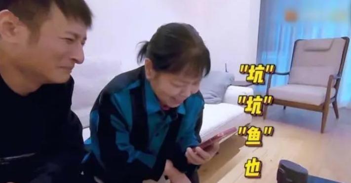 何炅李维嘉淘汰,快本停更因为李维嘉吗